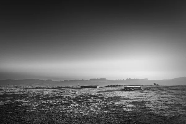 04 - À la surface de moi