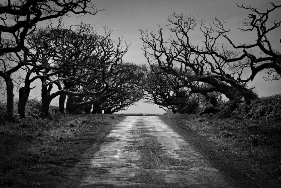 Auteur photographe Brest,tanguy rommens,photographe passionné – Qui suis-je ? Auteur photographe Brest,tanguy rommens,photographe passionné - svg+xml;charset=utf