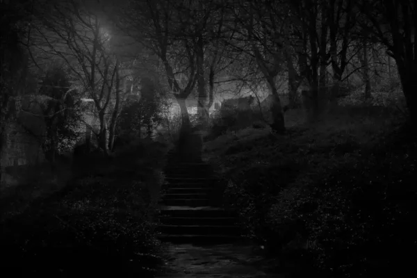 11 - Errance naturelle