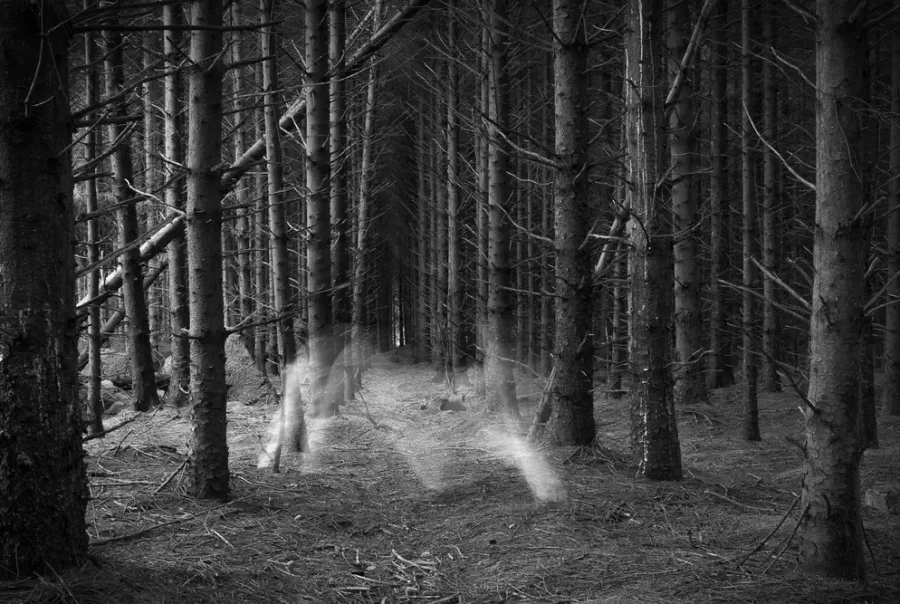 Auteur photographe Brest,tanguy rommens,photographe passionné – Qui suis-je ? Auteur photographe Brest,tanguy rommens,photographe passionné - svg+xml;charset=utf